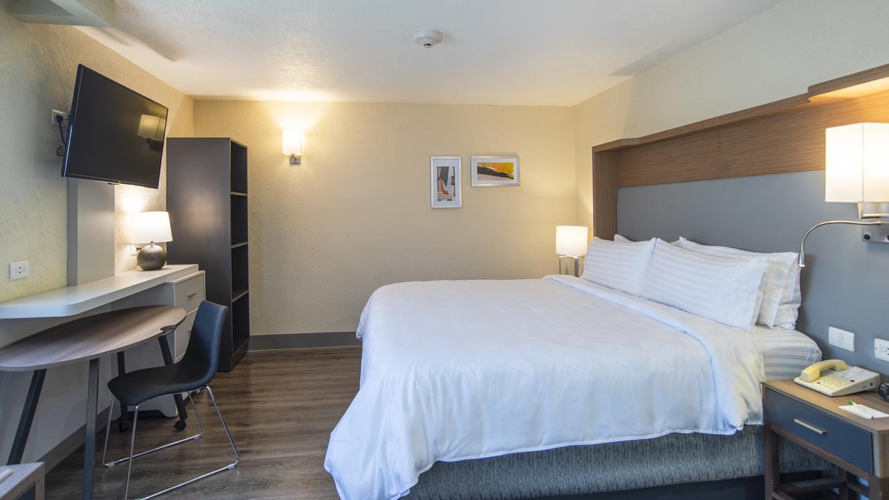 Coyoacan Hotel Mexico