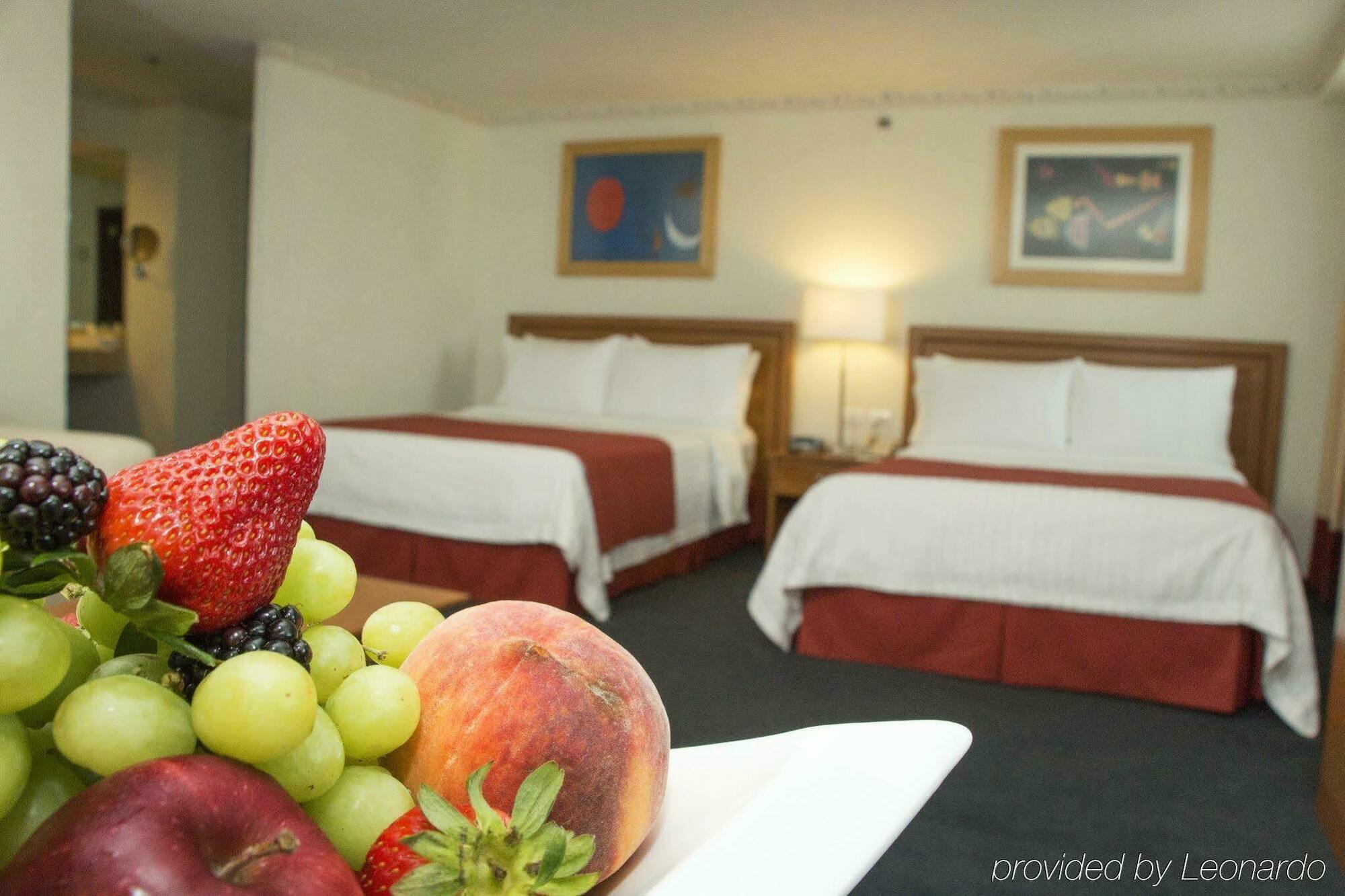 Coyoacan Hotel Mexico